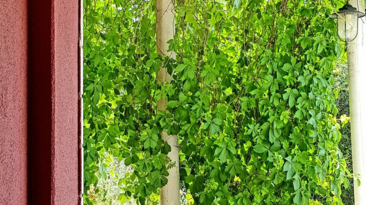 Photo of Outdoor in Gruz
