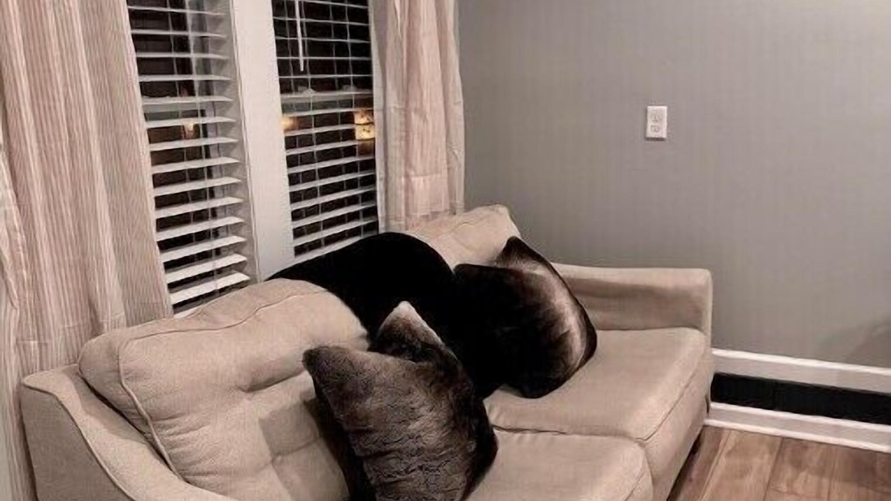 Photo of Livingroom in Chic's Beach
