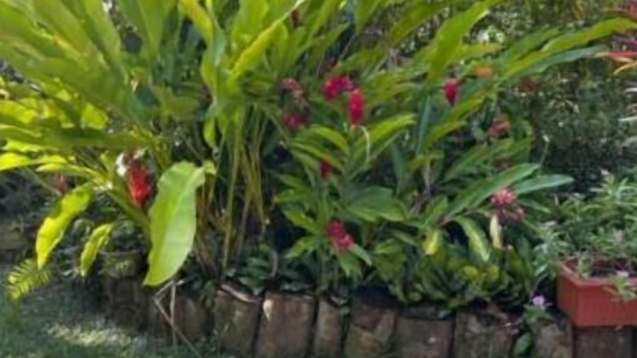Photo of Outdoor in Zig Zag Ward