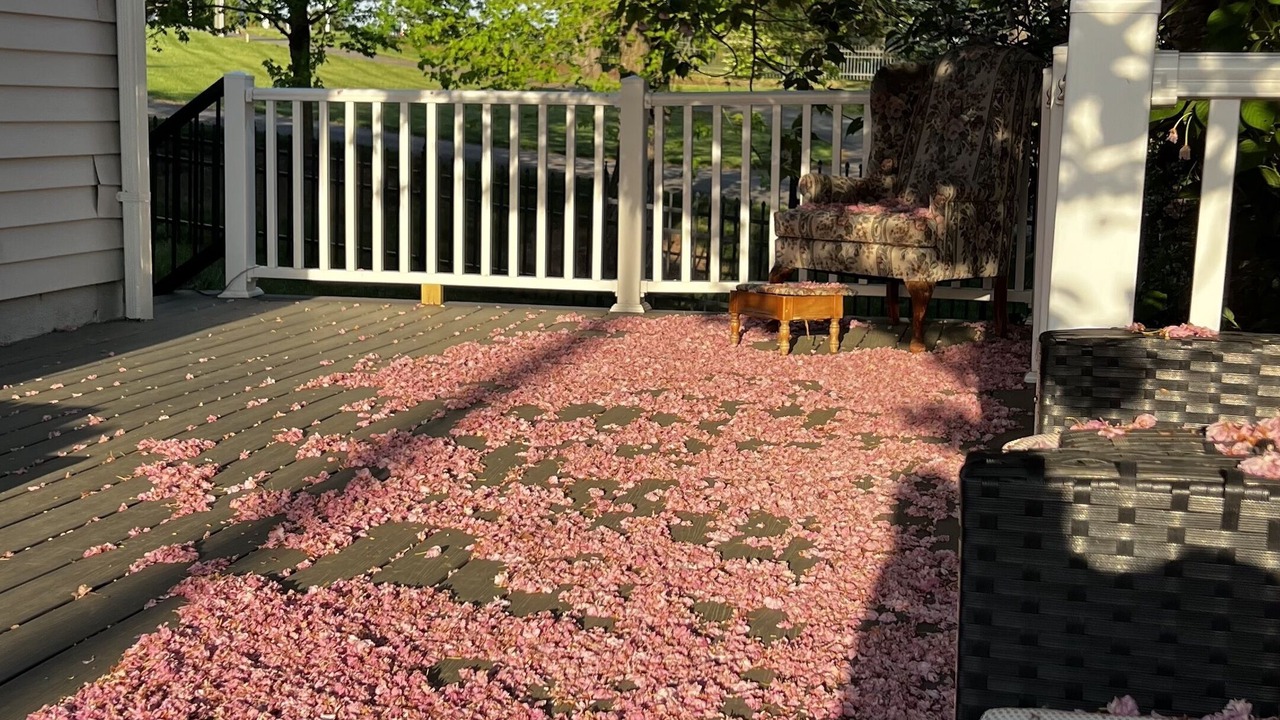 Photo of Outdoor in Lorton