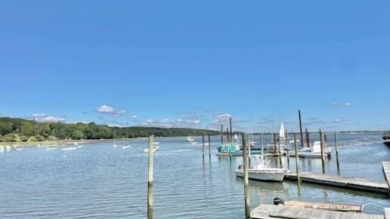 Photo of Others in Oyster Bay