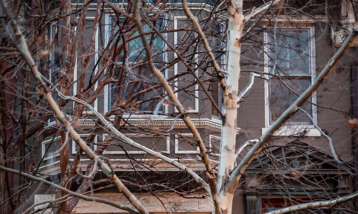 Photo of Outdoor in Dupont Circle