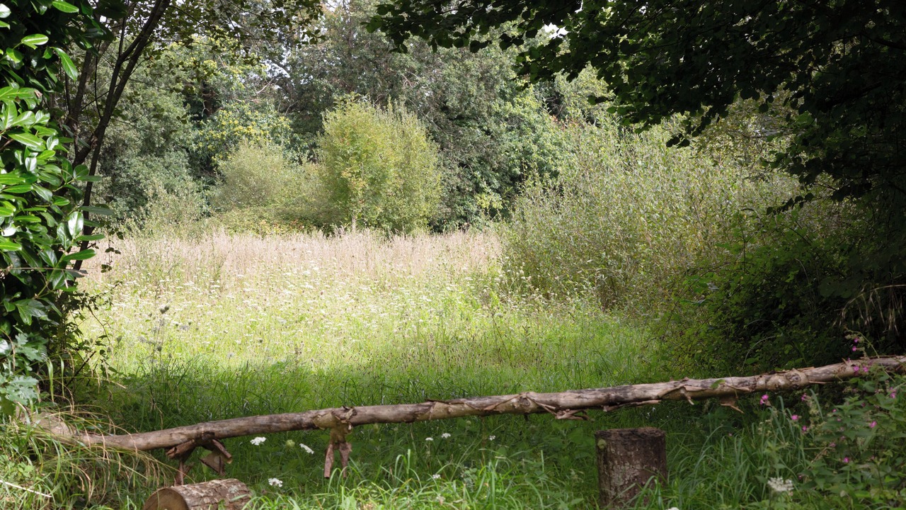 Photo of Outdoor in Saint-Tugdual