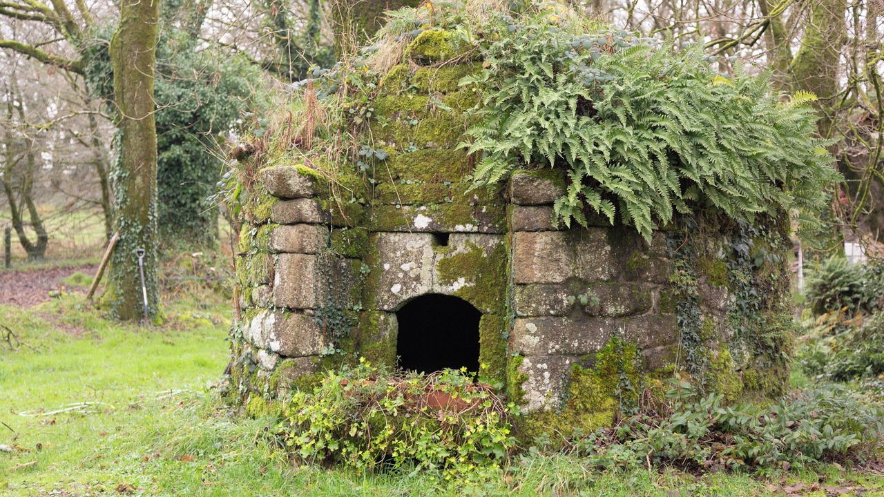 Photo of Outdoor in Saint-Tugdual