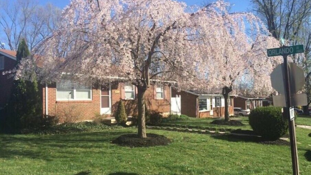 Photo of Others in Hollins