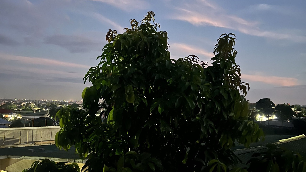 Photo of Outdoor in Ngaliema