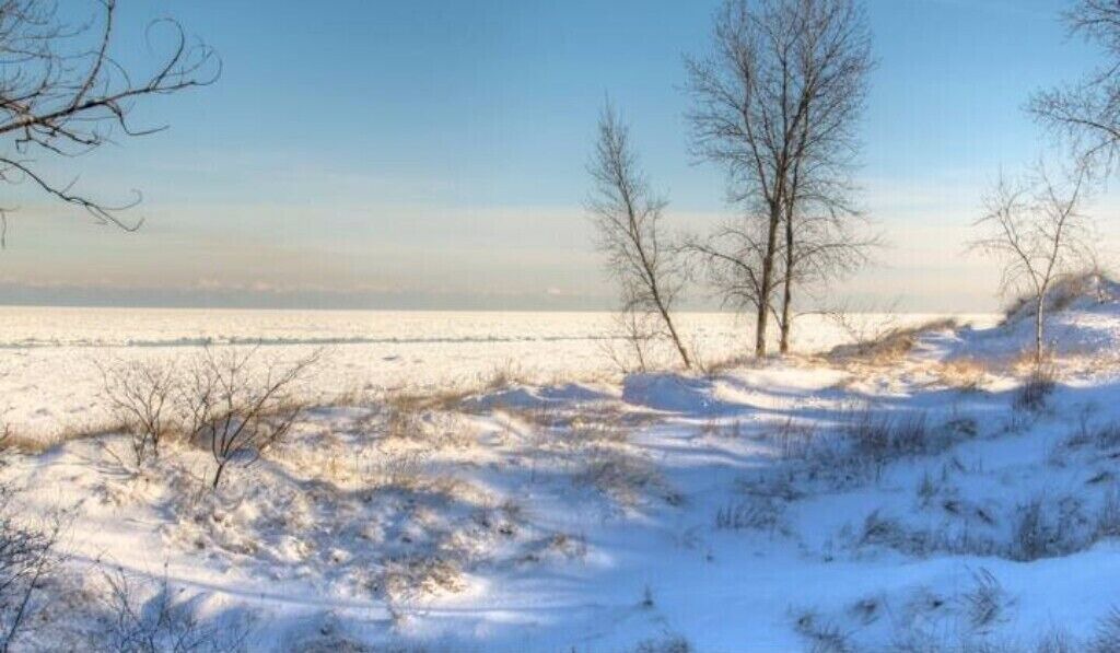 Photo of Others in Wheeler