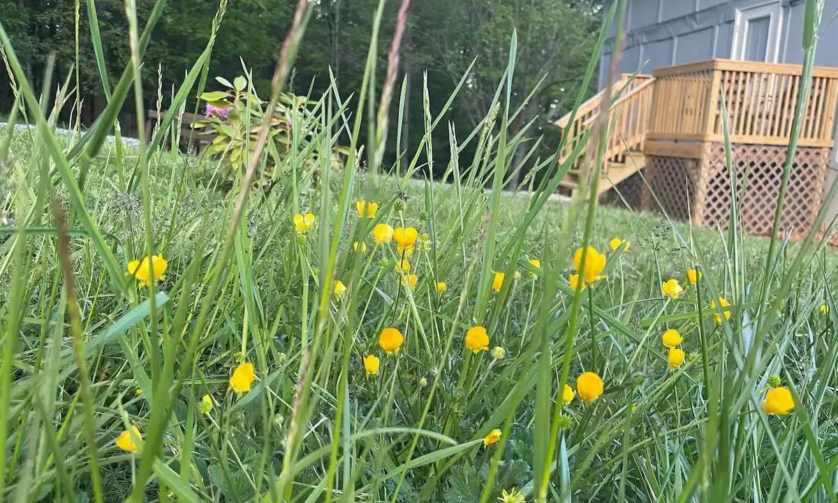 Photo of Outdoor in Sparta