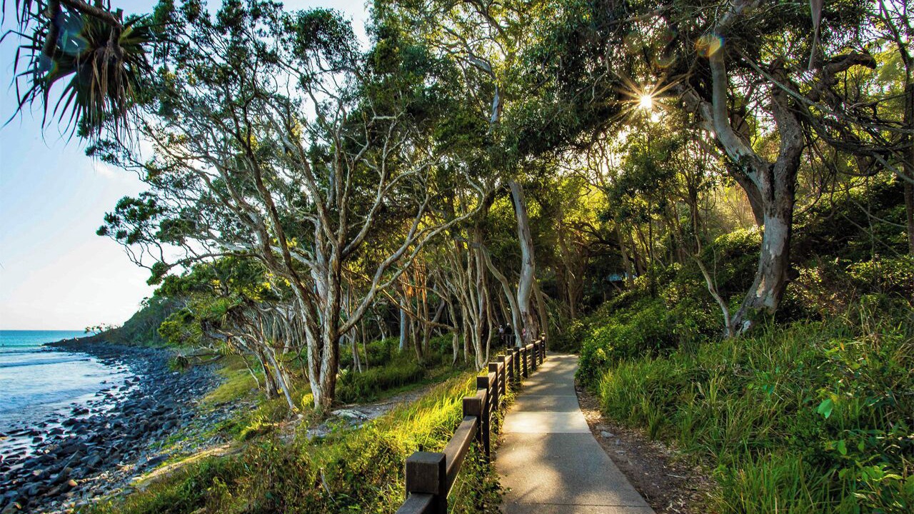 Photo of Others in Noosa North Shore