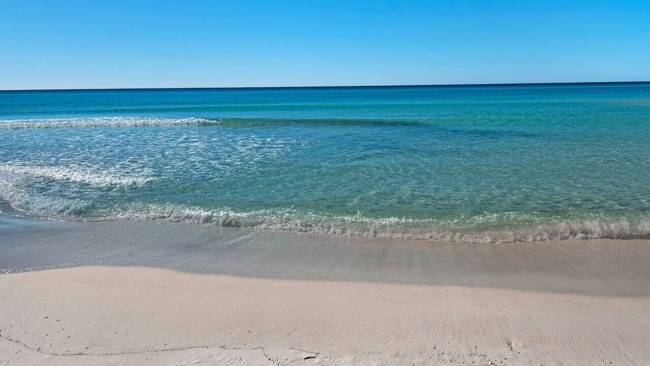 Photo of Others in Gulf Pines