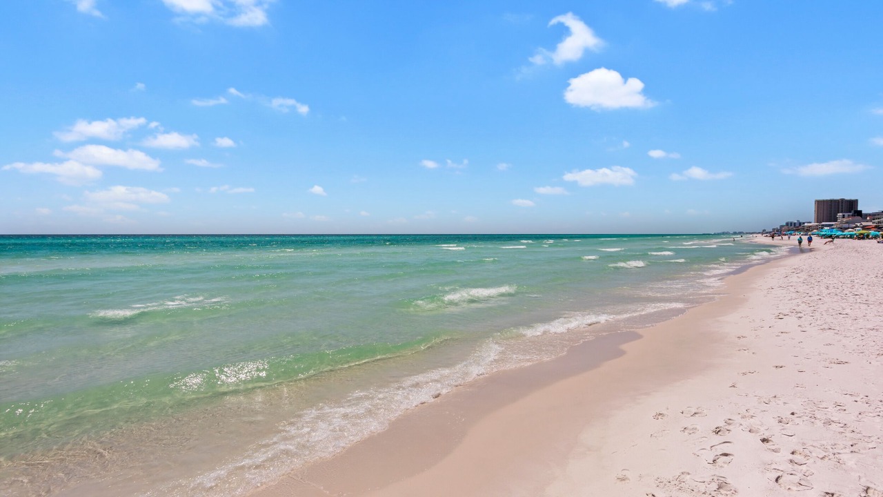 Photo of Others in Gulf Pines