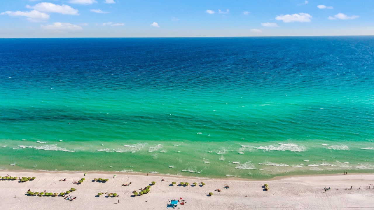Photo of Others in Gulf Pines