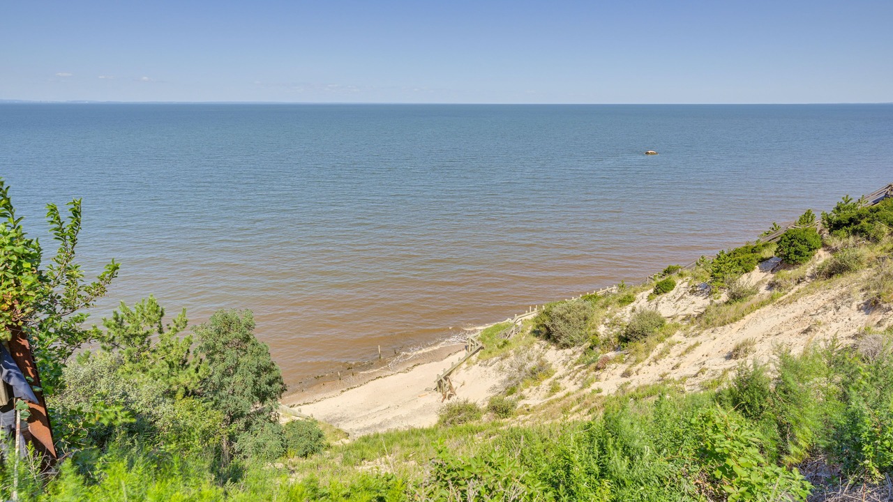 Photo of Others in Rocky Point