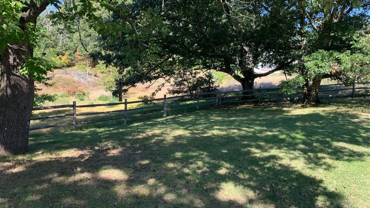 Photo of Outdoor in Truro