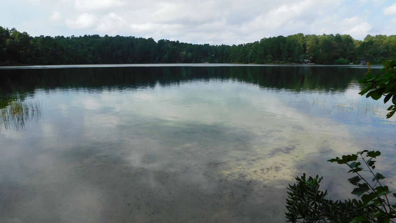 Photo of Outdoor in Truro