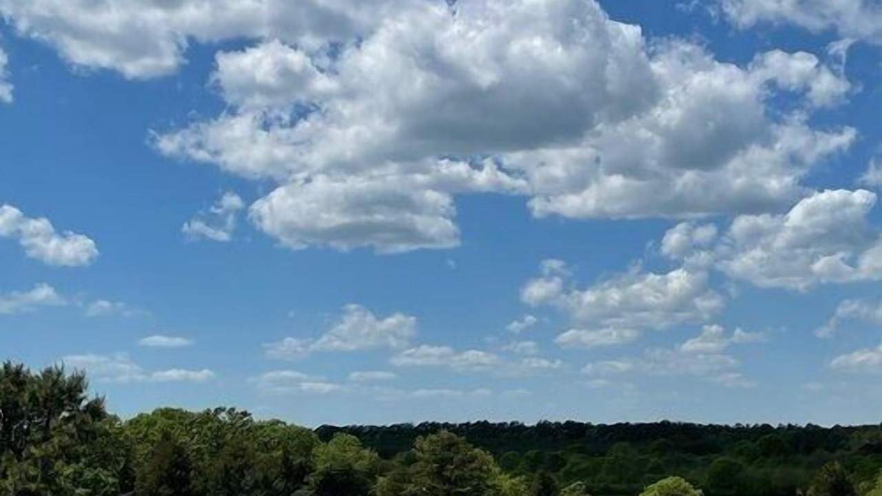 Photo of Others in West Barnstable
