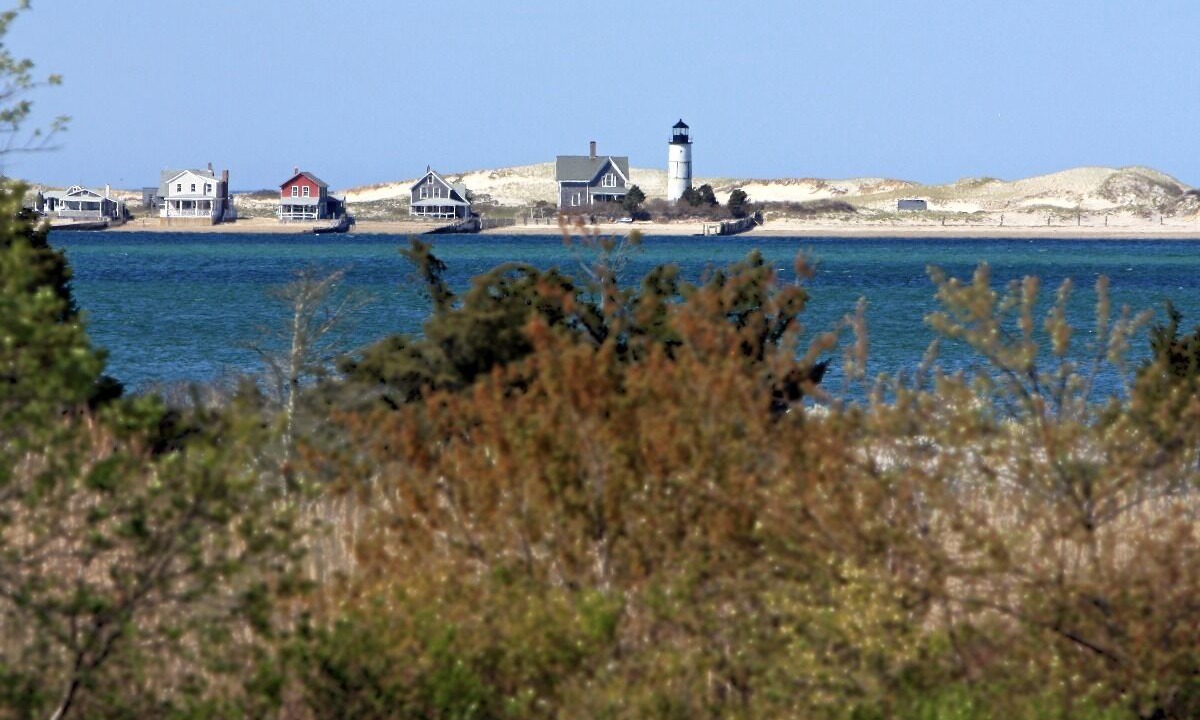 Photo of Others in West Barnstable