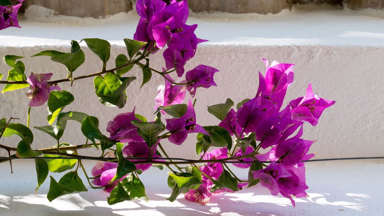 Photo of Outdoor in Ariolos