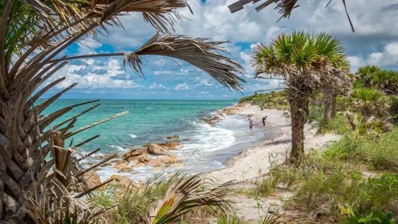 Photo of Others in Golden Beach