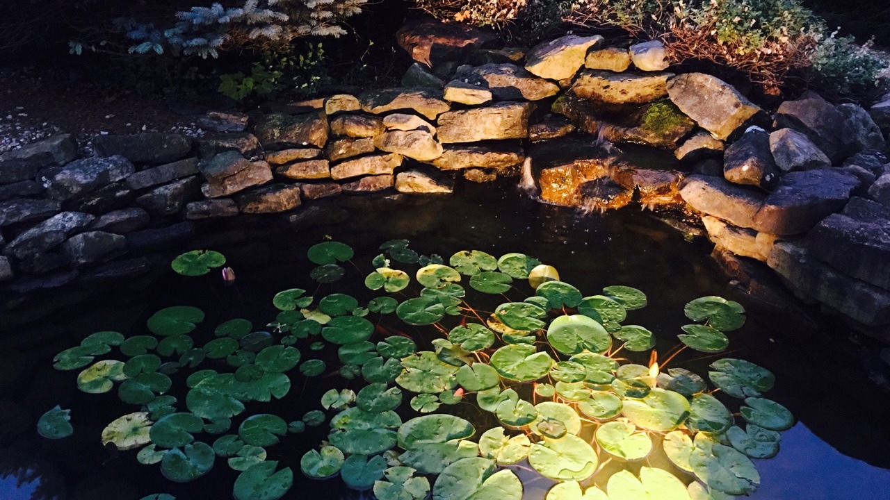Photo of Outdoor in North Kessler Manor