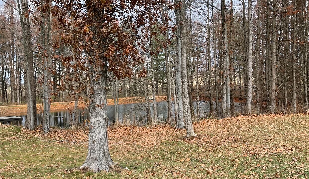 Photo of Outdoor in Celestine