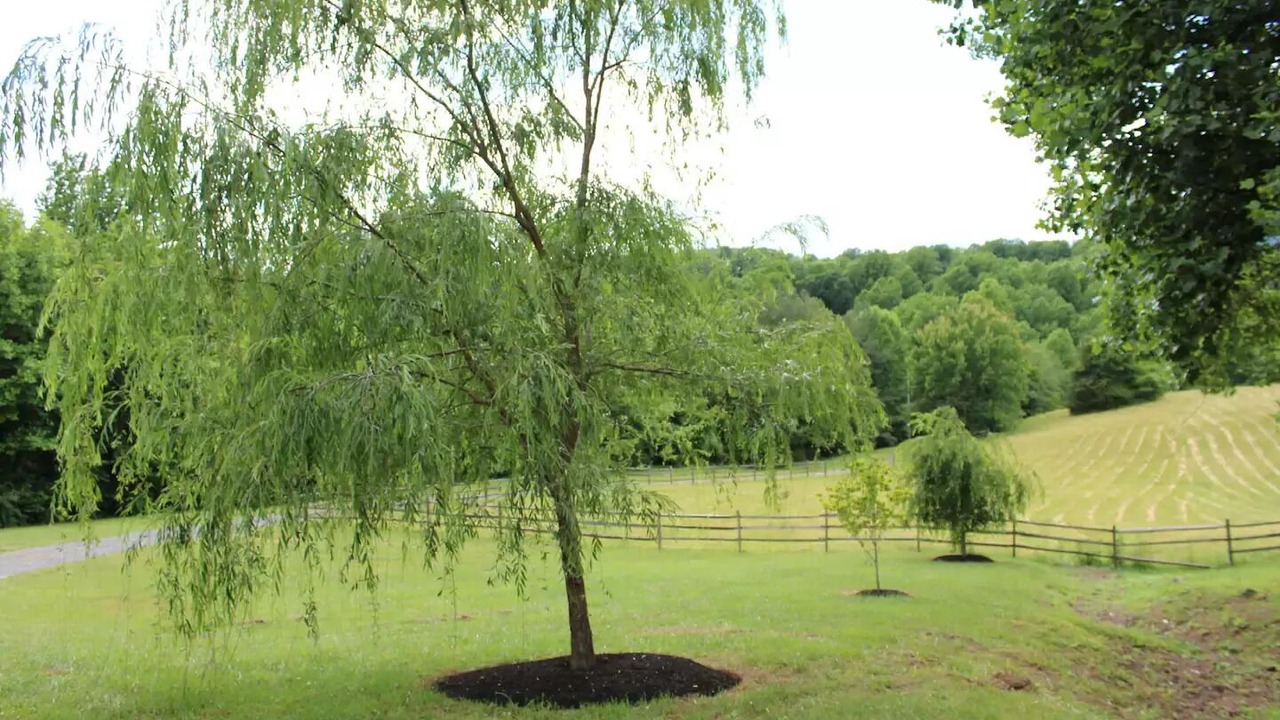 Photo of Outdoor in Etlan