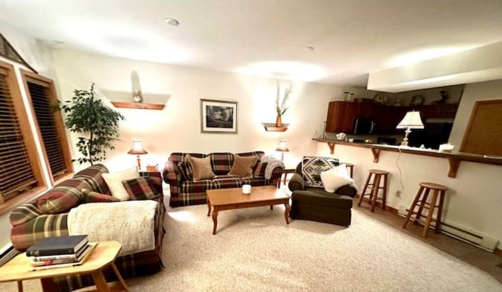 Photo of Livingroom in Hensonville