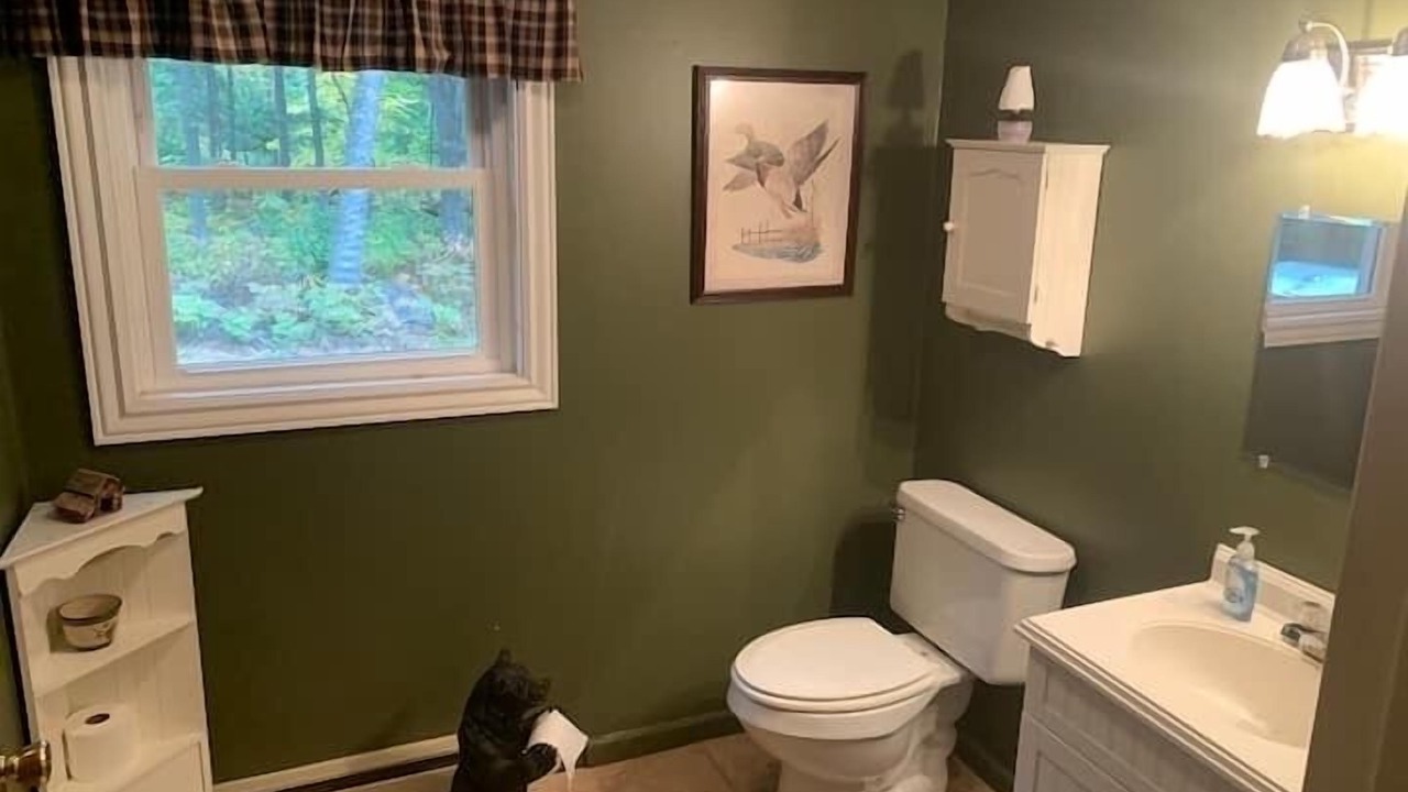 Photo of Bathroom in Speculator