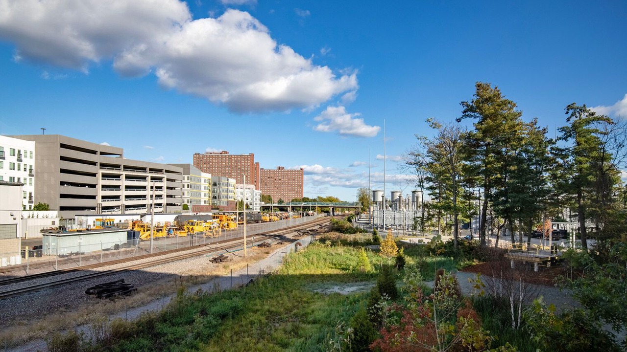 Photo of Outdoor in Cambridge