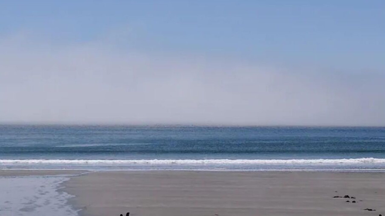 Photo of Others in Swampscott