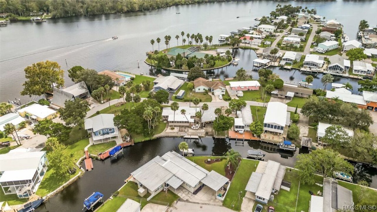 Photo of Others in Homosassa