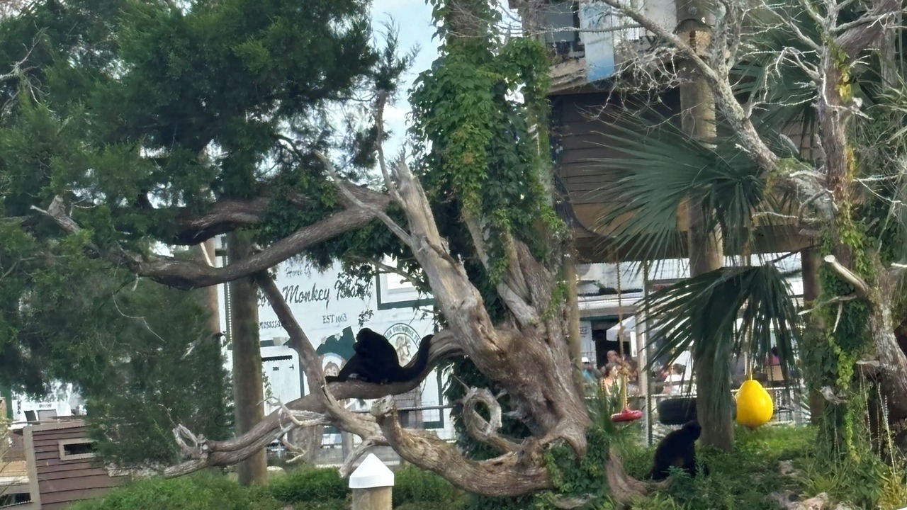 Photo of Outdoor in Homosassa