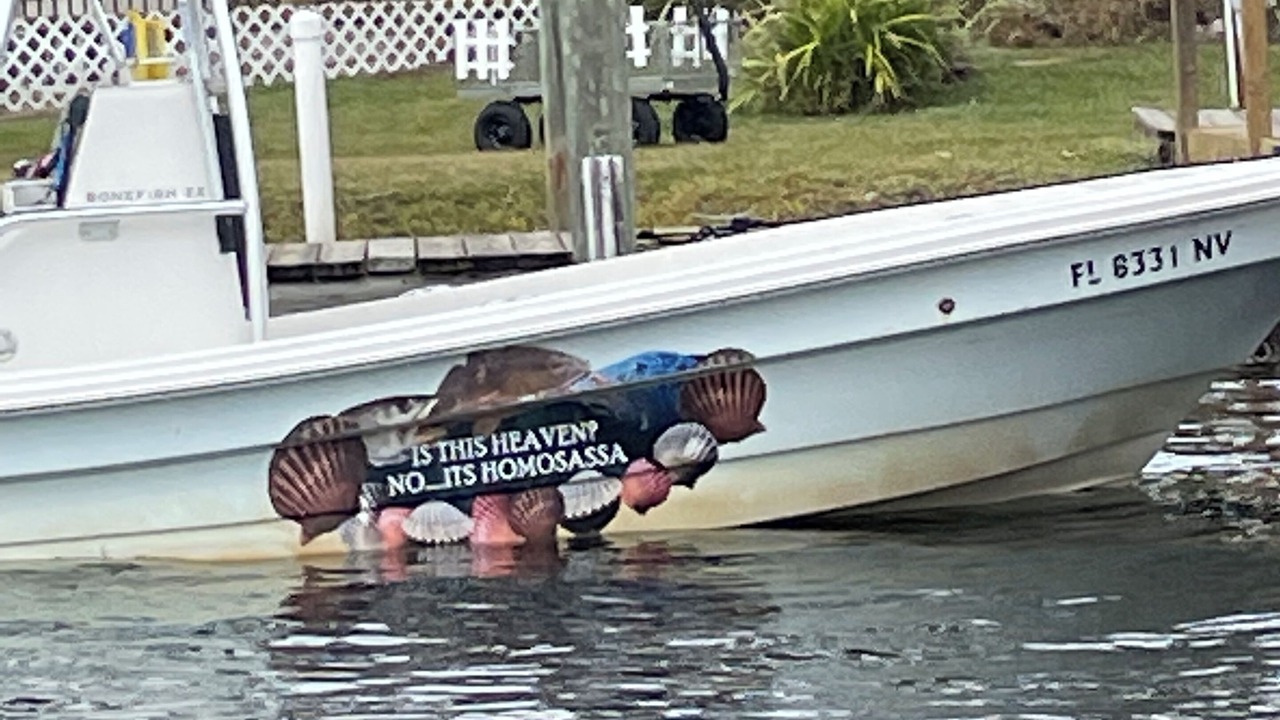 Photo of Others in Homosassa