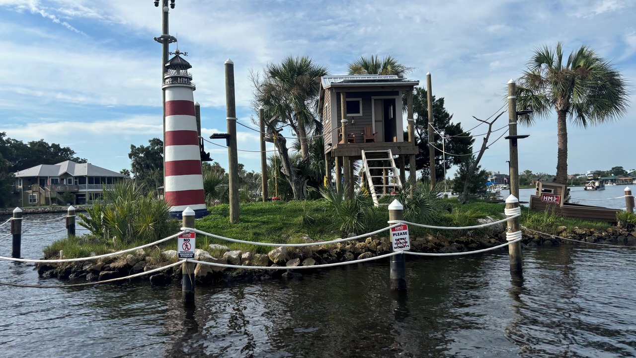 Photo of Others in Homosassa