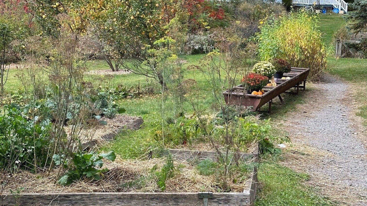 Photo of Outdoor in Scottsburg