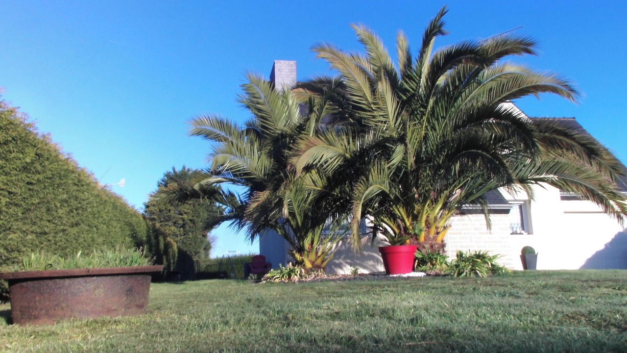 Photo of Outdoor in Tregomeur