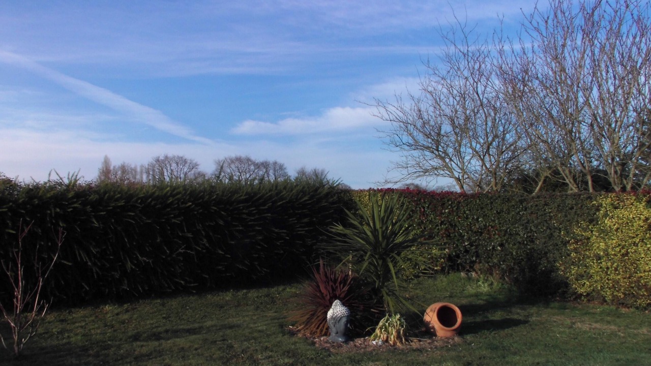 Photo of Outdoor in Tregomeur