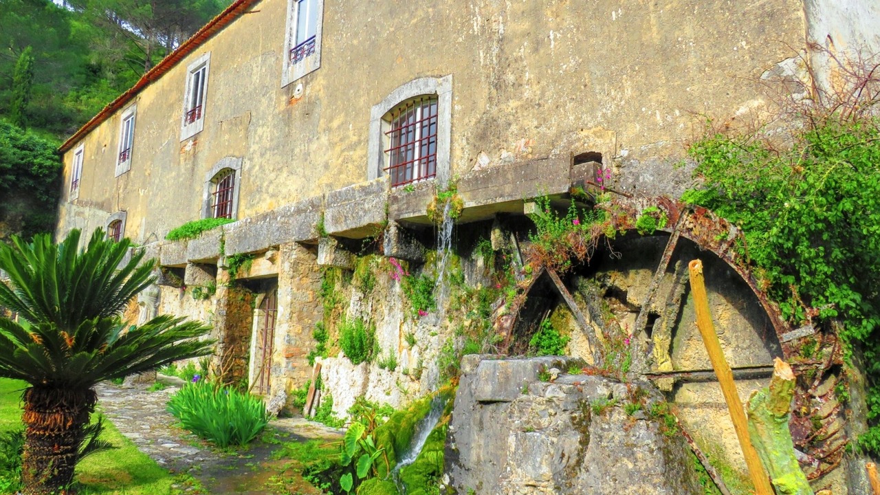 Photo of Others in Sao Joao Batista