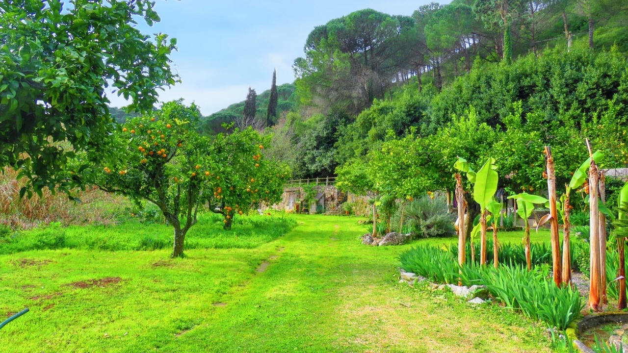 Photo of Outdoor in Sao Joao Batista