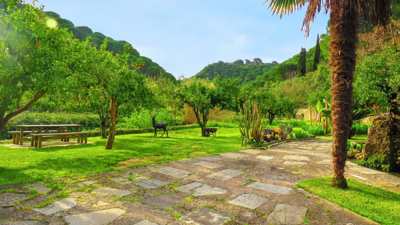 Photo of Outdoor in Sao Joao Batista