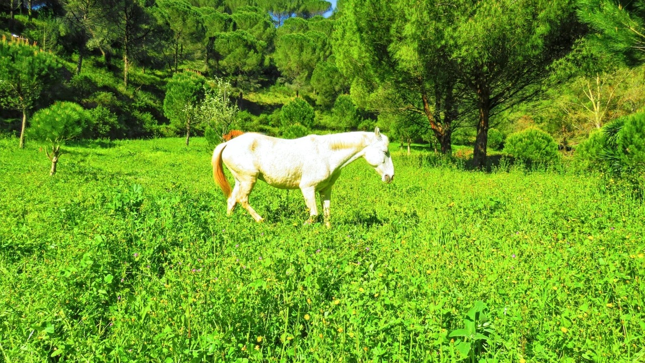 Photo of Outdoor in Sao Joao Batista