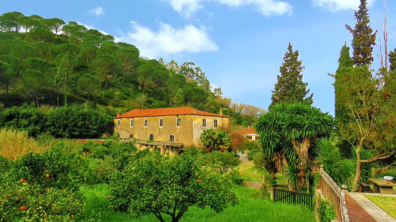 Photo of Others in Sao Joao Batista
