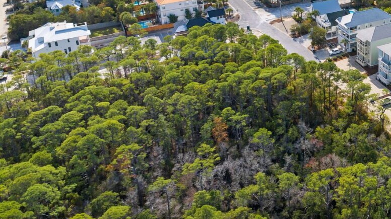 Photo of Outdoor in San Juan