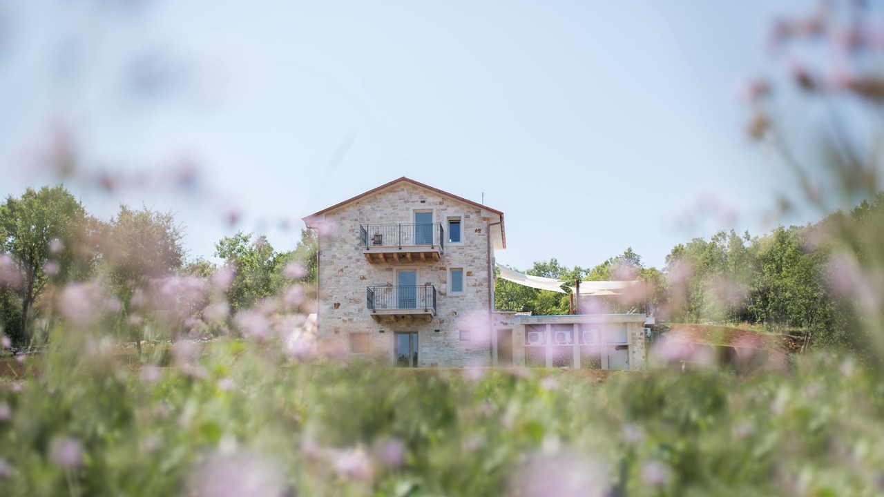 Photo of Outdoor in Bibali