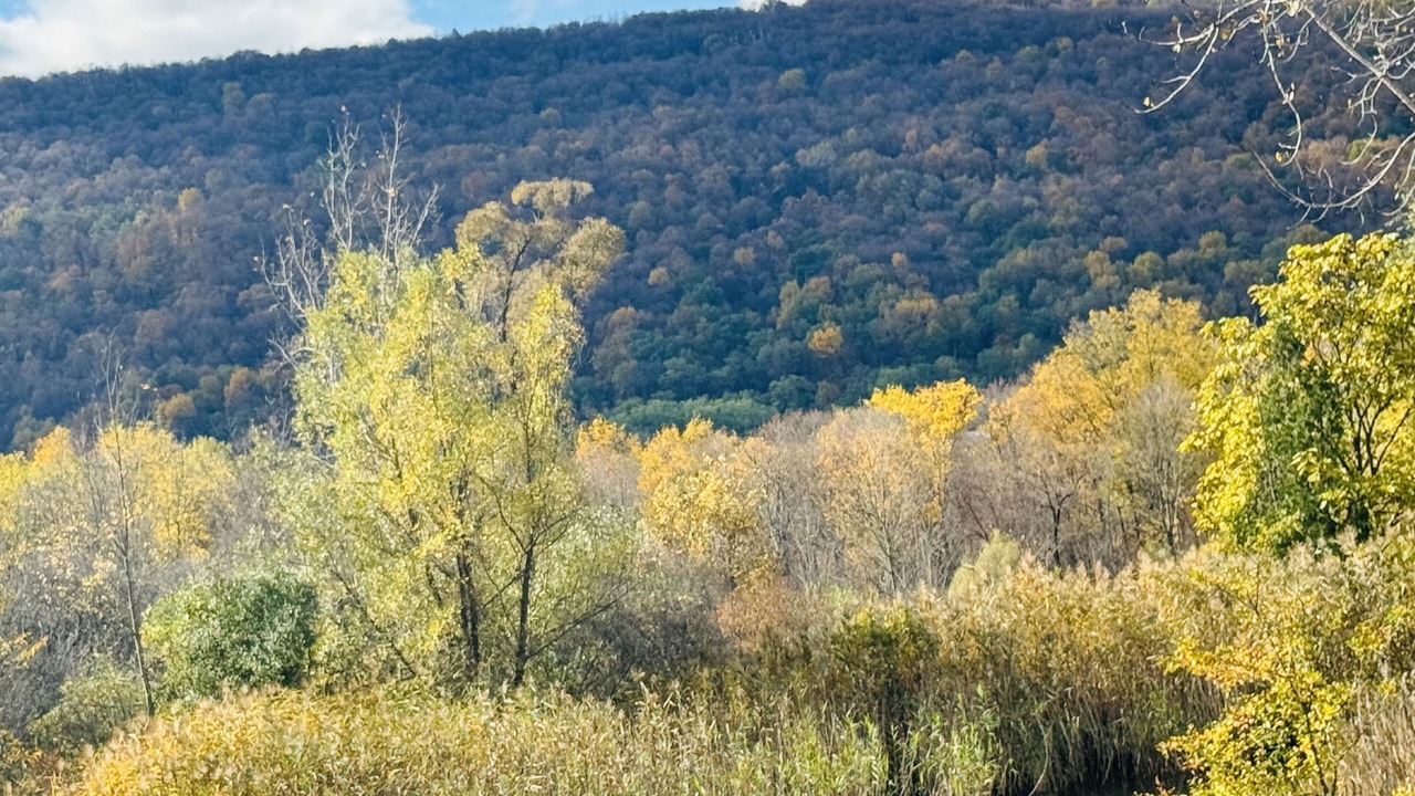Photo of Others in Jamesville