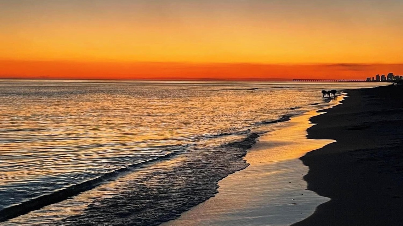 Photo of Others in Seacrest Beach