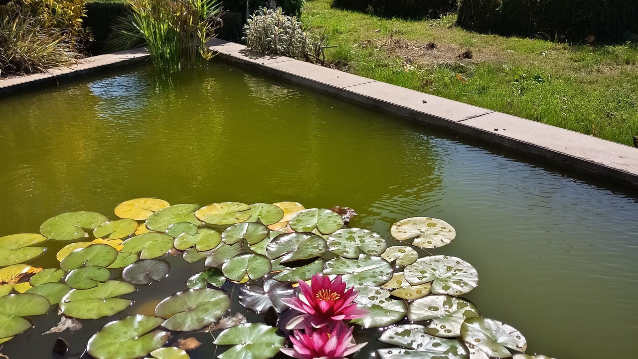 Photo of Outdoor in Moelan-sur-Mer