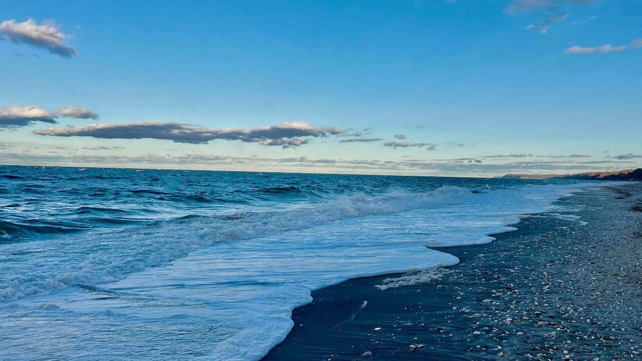 Photo of Others in Rocky Point