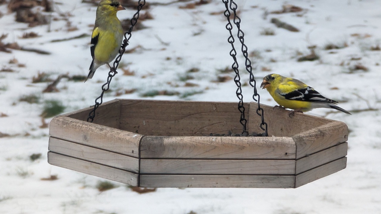 Photo of Others in Pelham