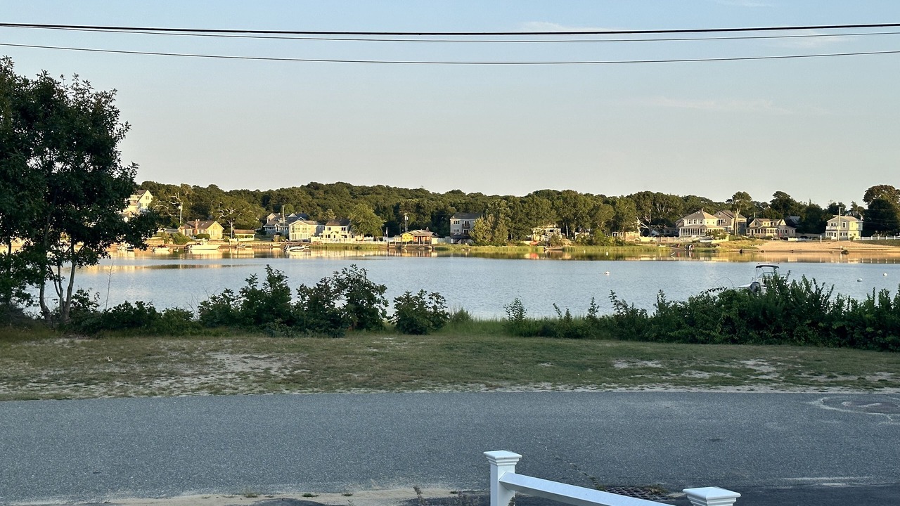 Photo of Others in East Wareham